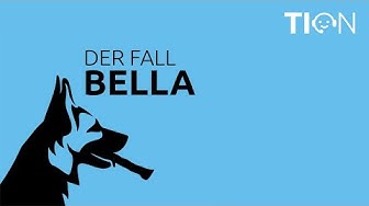 Photo Spieß- und Stöckchenverletzung bei Hunden Photo Spieß- und Stöckchenverletzung bei Hunden